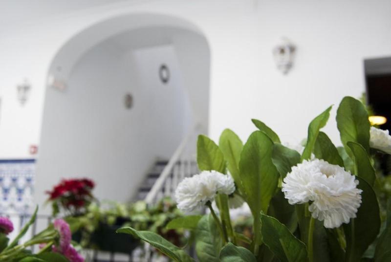 Hostel Triana Backpackers Seville Exterior photo